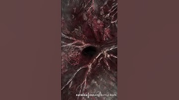 D&D | Writhing Fleshwood Part 5 No Grid | Animated Battle Maps