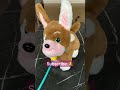 Cute puppy fun entertainment viral shorts toys