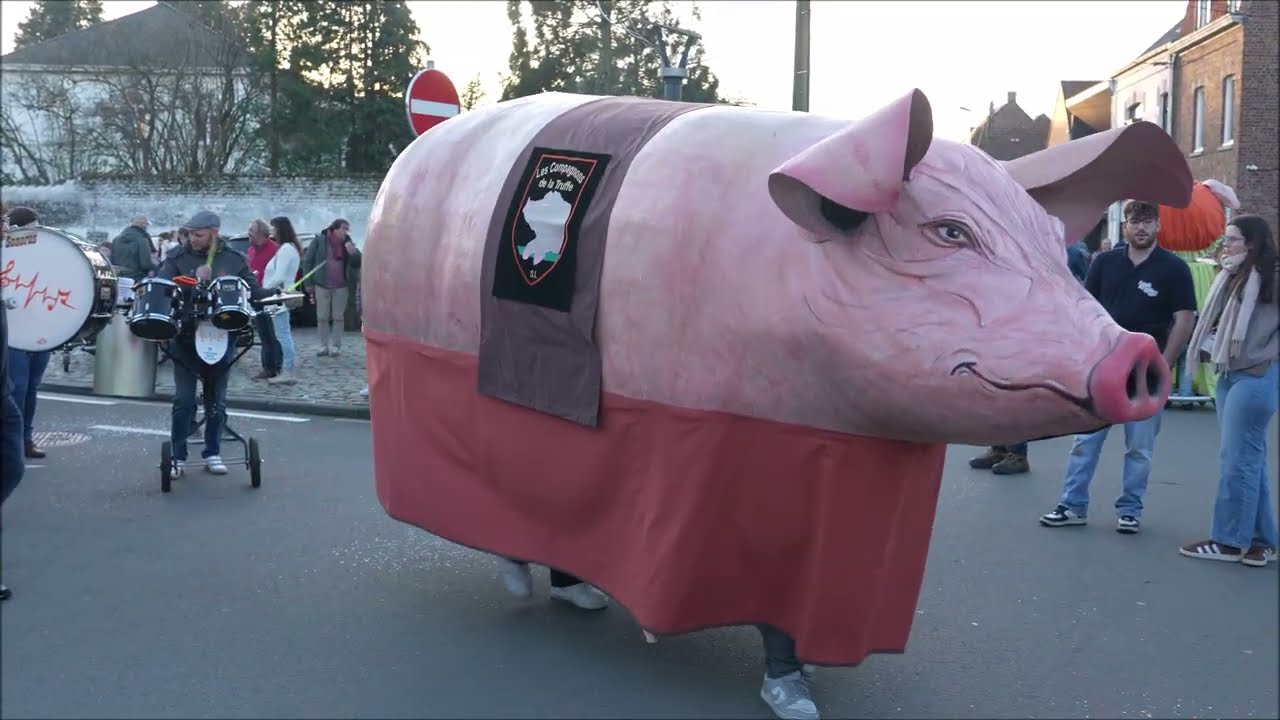 Danse du cochon Antoniade Flobecq 2026