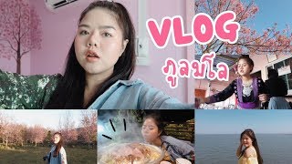 VLOG เลยจ๋าแก้วมาแล้วจ้า ตามล่าหาดอกนางพญาเสือโคร่ง ภูลมโล, กินหมูทะสองวันติด | KaewVlog