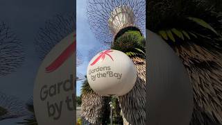 GARDENS BY THE BAY 🇸🇬 BEST OF SINGAPORE 🪷