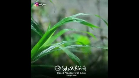 #تلاوات #ماهر_المعيقلي #ياسر_الدوسري #ناصر_القطامي #السديس #خالد_الغامدي(10)