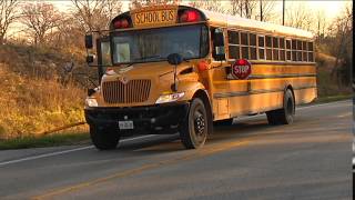 School Bus Violations