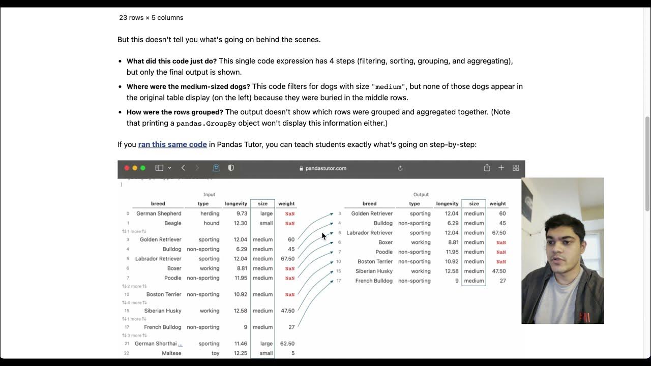 Pandas Tutor - A simple way to visualize Pandas data transformations ...