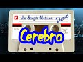 DEMOgrafía Nro 08 - (Cerebro 1986)