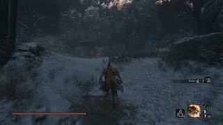 Fastest Undead Swordsman Take Down Sekiro Shadows Die Twice
