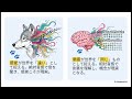 神は詳細に宿る