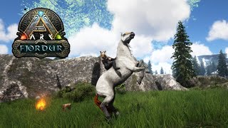 Ark Fjordur 2 Domando cavalo