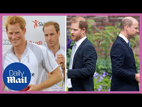 Prince harry and prince william through the years | palace confidential gallery