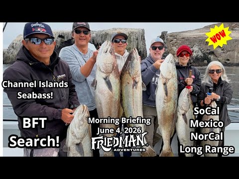 🔥 Yellowtail Biting Everywhere! White Seabass Hot + Bluefin Update | Morning Briefing
