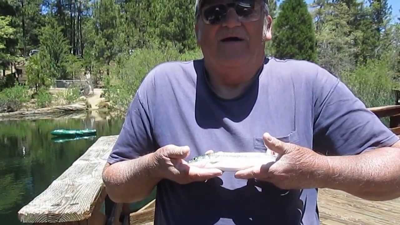 Panther martin catches trout at Jenks Lake. YouTube
