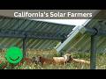 Two Harvests. One Field. California's Smarter Solar: Agrivoltaics