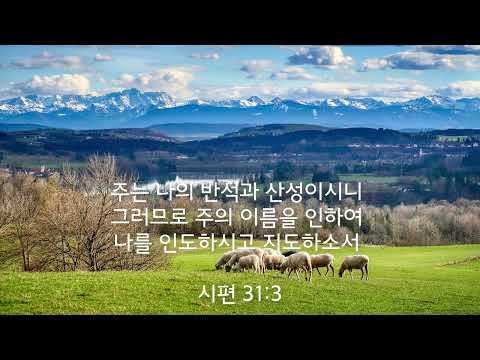 선한 목자 되신 우리 주 / Savior, Like a Shepherd Lead Us / 피아노 찬양 / 가사 / 새찬송가 569장