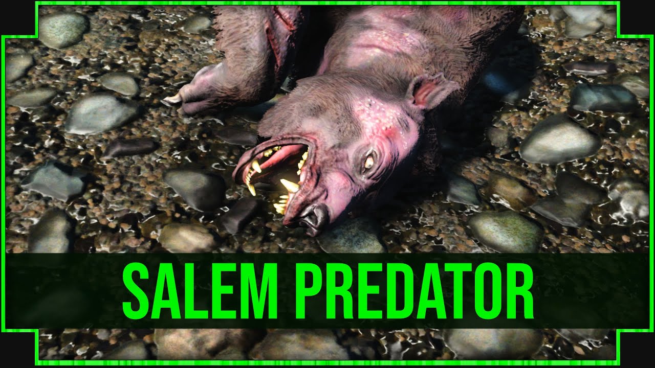 Fallout Predators Salem Predator in Fallout 4 - Legends Say He Killed 4 Yao Guai's Alone ...