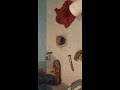 Así se abre el piso para corregir una mala instalación del inodoro
