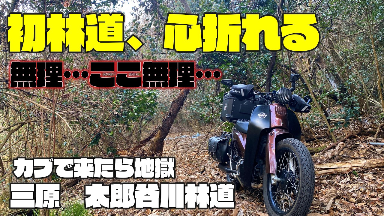 【これはヤバい…カブで挑んだ初林道が想像以上に地獄だった】太郎谷川林道＆三原の人気尾道ラーメン店「麵や一六」