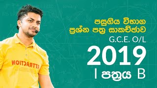 G.C.E O/L 2019 Maths Past Paper Discussion By Sinhala | 1 Paper B