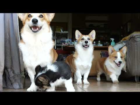 NANA05365 - YouTube
