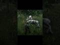 Como caçar o alce 🫎 lendário no Red Dead Redemption 2 #reddeadredemption2 #rdr2 #ps5 #gameplay