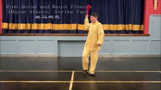 Riding Horse And Watch Flowers