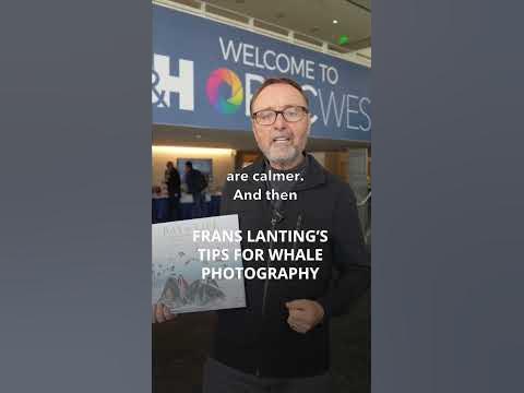 Whale Photography Tips from Frans Lanting - YouTube
