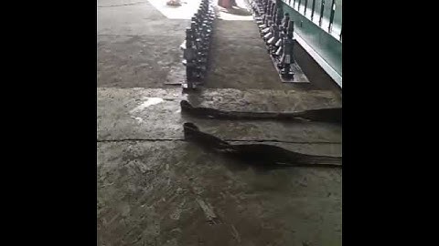 Z purlin roll forming machine #formingmachine #metalformingmachine #machine #rollformingmachine