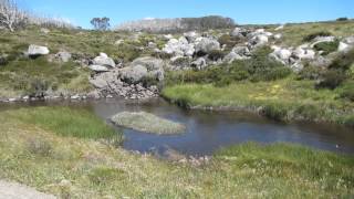 AUSTRALIA - VICTORIA - ALPINE NP - MTB