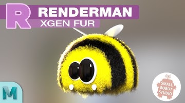 Renderman 23 Xgen Hair/Fur and Texture Tutorial