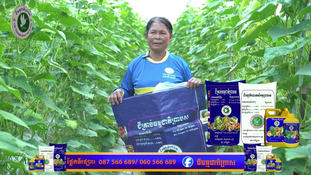 បទពិសោធន៍ជោគជ័យនៃការប្រើប្រាស់ជីព្រាបស លើដំណាំត្រសក់