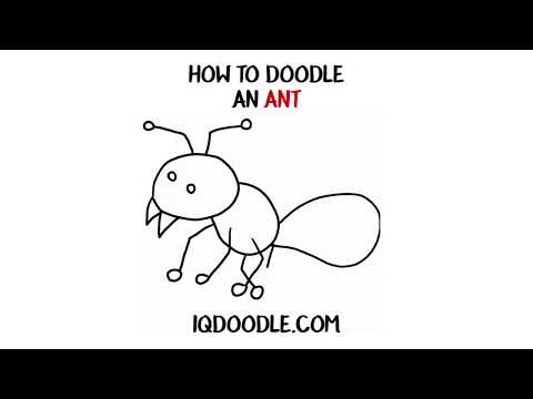 How to Draw an Ant (drawing tips)