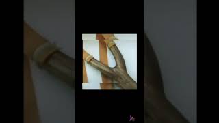 Uşaqlıq illəri🥲