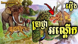 ប្រាជ្ញា​អណ្តើក | រឿង​និទាន​អប់រំ | និទាន​រឿងព្រេង​ | និទាន​ស្តូរី​ខេ​អេច | NITEAN STORY KH