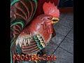 Rooster’s Cafe 715 W Jefferson St, Brooksville, FL 34601