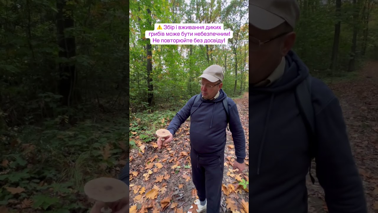 📍 Haltern am See 🇩🇪 Пешие прогулки в Германии 