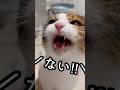 今日のおしゃべり小町。今年やり残したことはない！