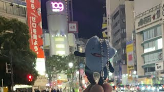びわ湖くんの配信のサムネイル画像