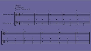 Fux Counterpoint. 2 Voices 2nd Species (Cantus Firmus E upper part)