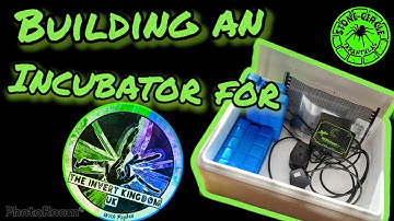 DIY Reptile Incubator Build and Setup
