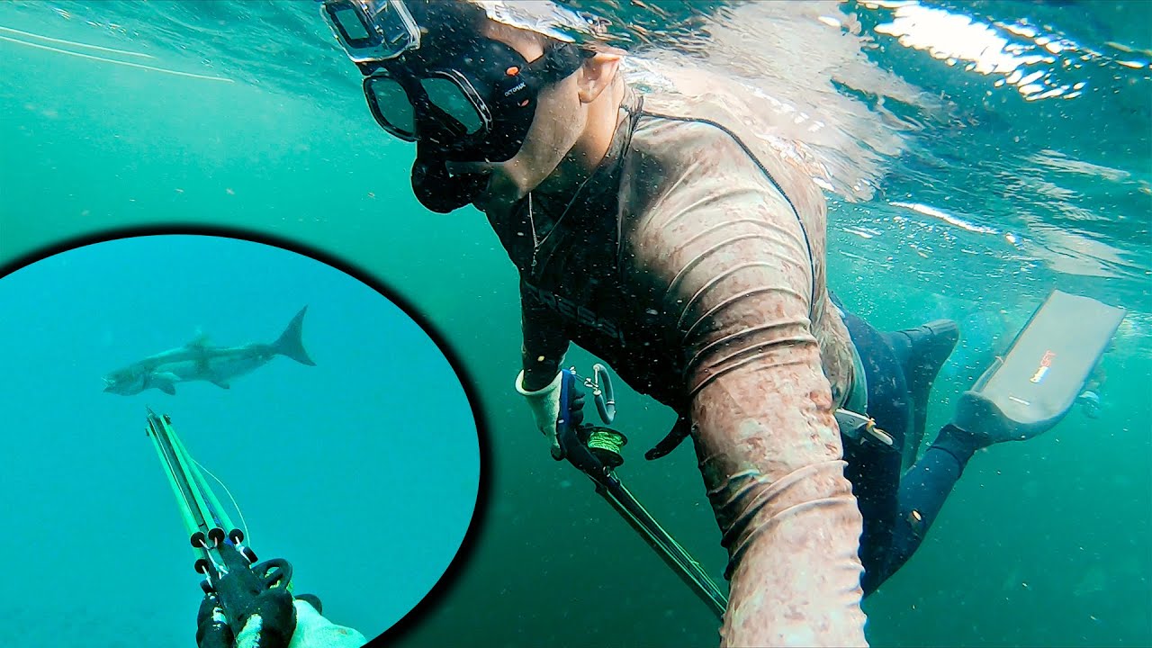 Spearfishing Big COBIA & SNAPPER in Louisiana!