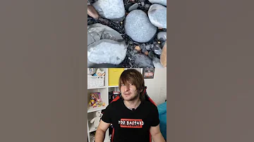 Что такое аммониты и аммоноидеи?