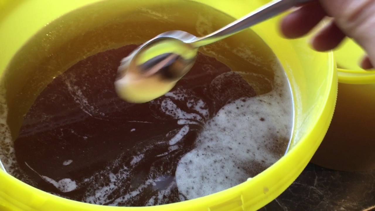 Imkerei: Honig impfen