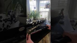 Paul Mitchell Neuro Smooth Titanium Flat Iron, Adjustable Heat Settings Review