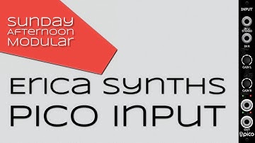 Erica Synths Pico Input Introduction