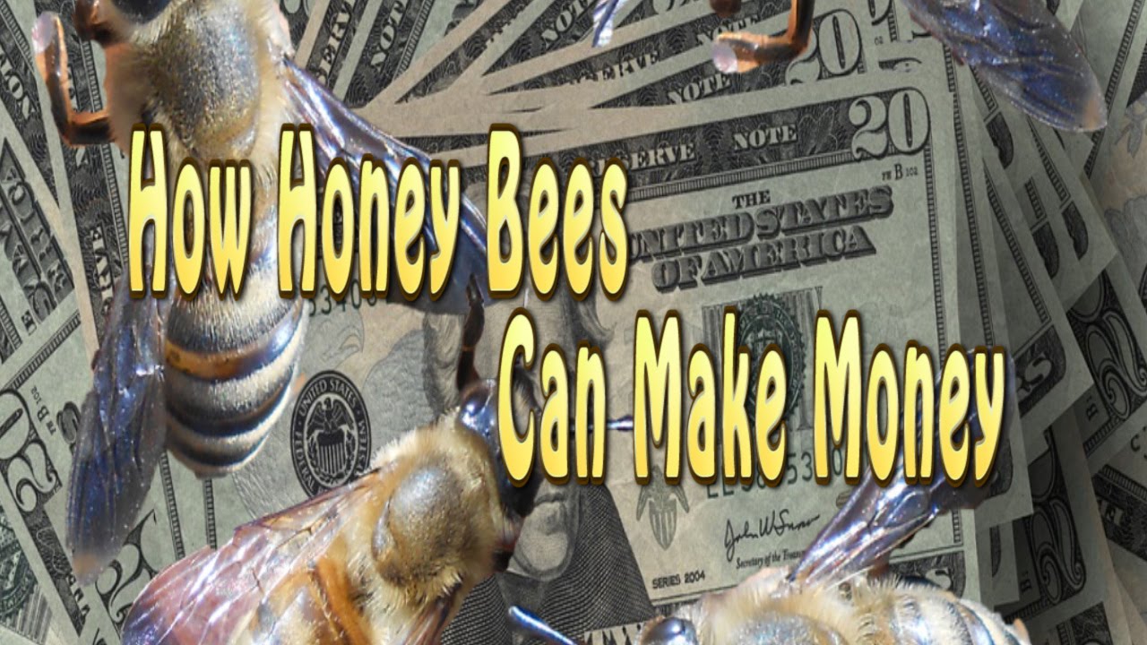 how to make money with bees