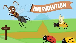 Ant Evolution Gameplay Trailer screenshot 5