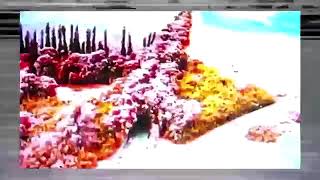 oneohtrix point never : untitled (2010)