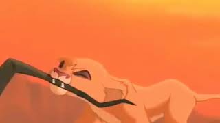 Kopa X Vitani Closer