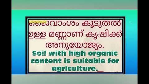 STD-07 BASIC SCENE UNIT-6 FOR A POLLUTION FREE NATURE