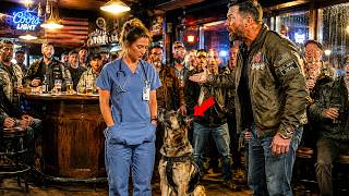 “Just a Nurse” A Veteran SEAL Mocked at the Bar—Then His Squadron K9 Heard Her Voice And Sat At Heel