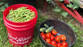 Bean Arch Is Loaded